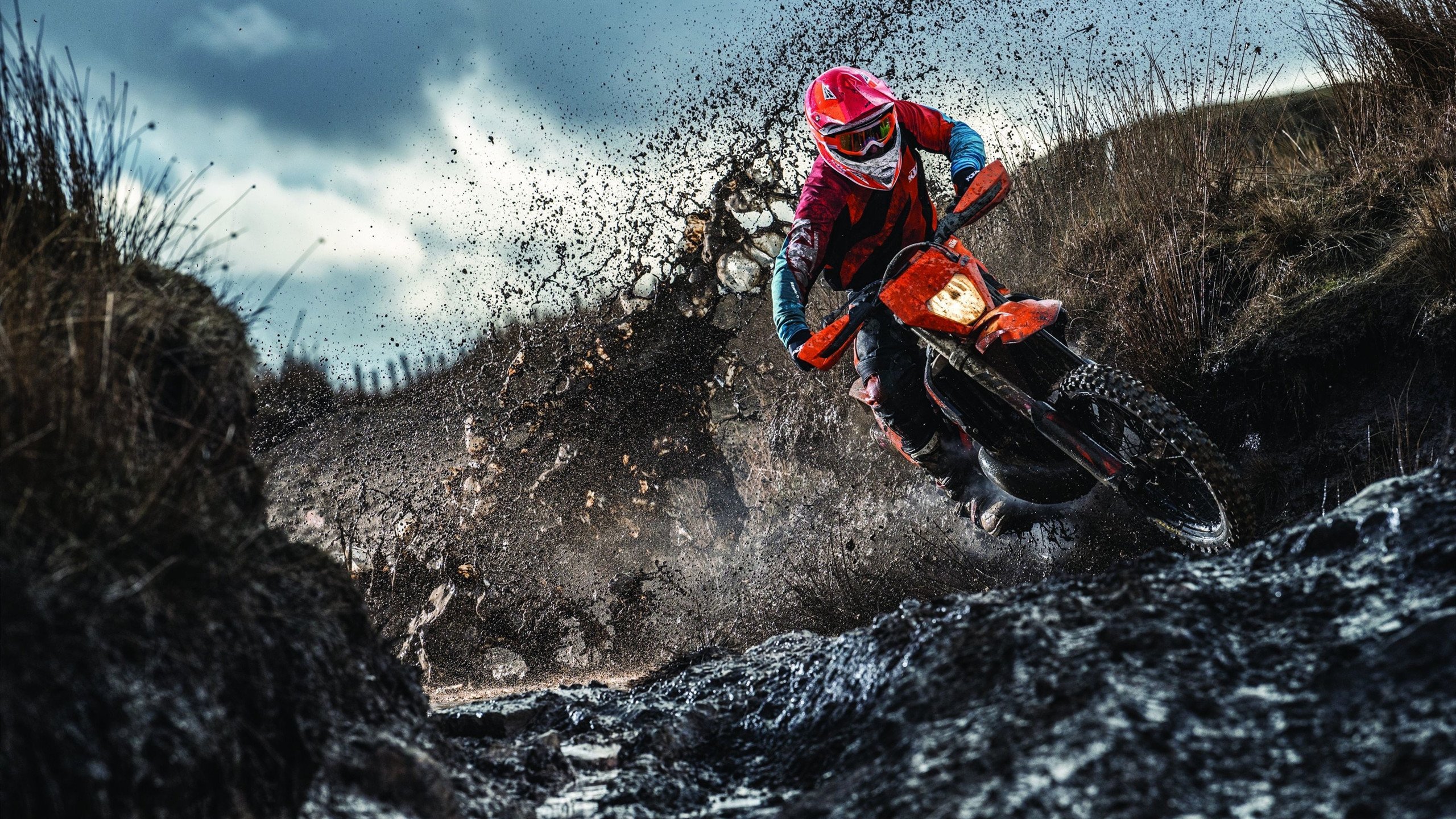 当明尼苏达的雪遇见纽约的灯，一场跨越篮球版图的灵魂对话